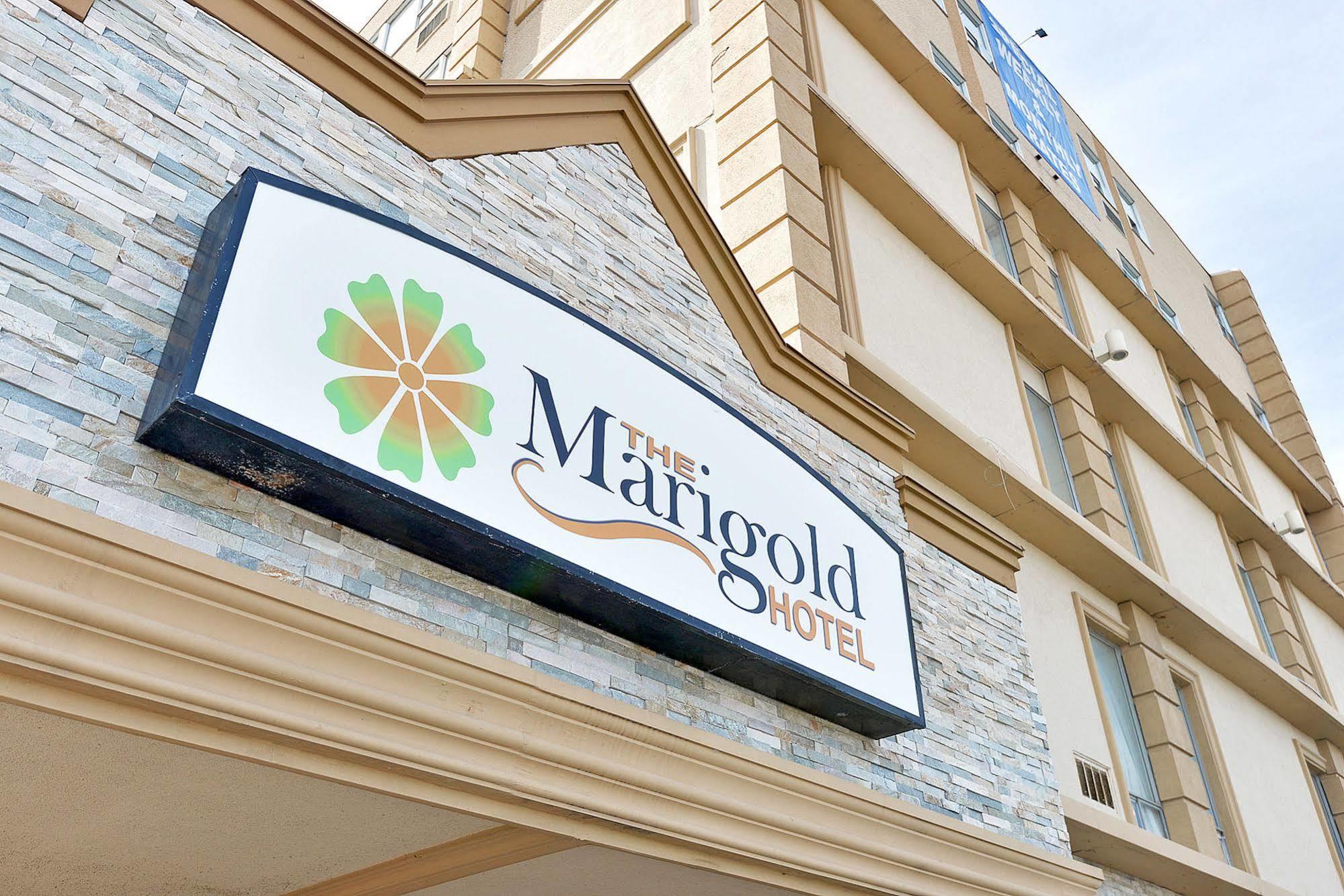 The Marigold Hotel แบรมพ์ตัน ภายนอก รูปภาพ